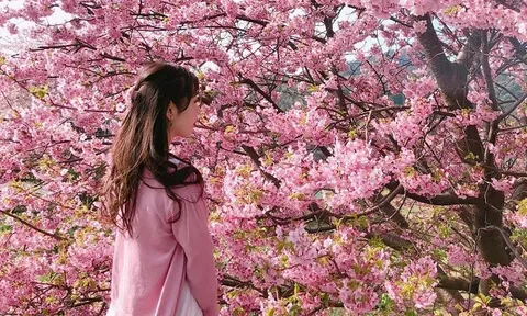 Du khách Việt đến Nhật vào tháng 2 đạt mức cao nhất lịch sử