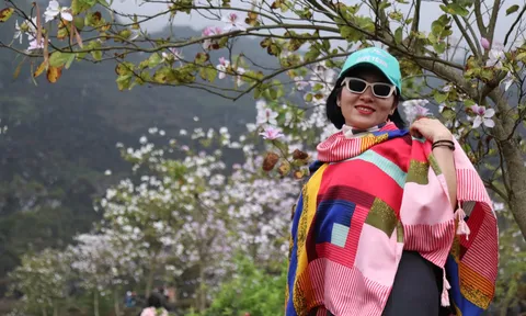 Mùa hoa ban nở trên "Mê cung đá" Hà Giang