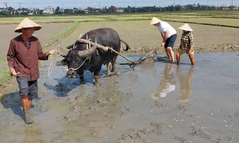Xu hướng du lịch xanh và hướng đi bền vững của doanh nghiệp lữ hành