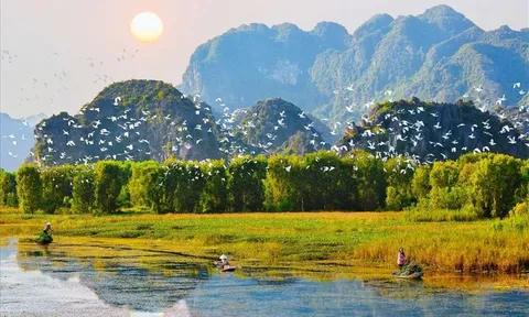 Tăng cường nhận thức về việc quản lý rác thải, bảo vệ môi trường