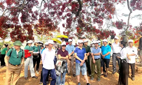 Các điểm di tích đón hơn 11.000 lượt khách ngày đầu nghỉ lễ