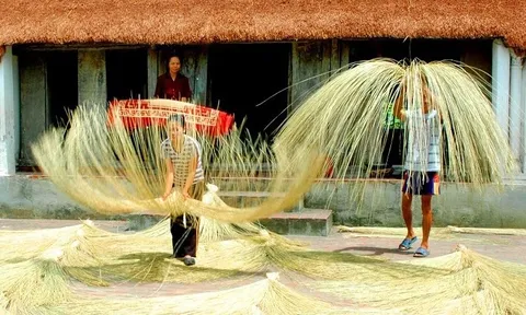 Nghề cói Kim Sơn (Ninh Bình) trở thành di sản văn hóa phi vật thể quốc gia