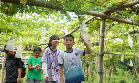 Du lịch học tập - Loại hình du lịch nhân lên các chuỗi giá trị bền vững