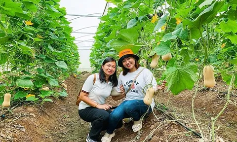 Phát triển du lịch theo hướng tăng trưởng xanh