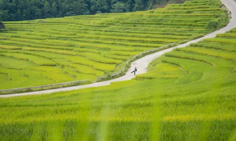 Có một nơi "chữa lành" chỉ cách Hà Nội khoảng 170km, được mệnh danh là "thiên đường giữa đại ngàn"