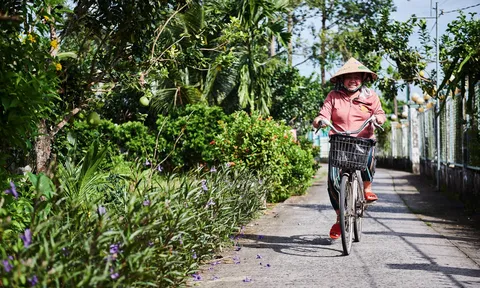 Du khách ngoại đi đâu, trải nghiệm gì trong hành trình xuôi dòng miền Tây và Côn Đảo?