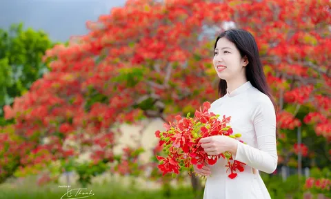 Hè về, thoả thích diện áo dài thả dáng bên nhành phượng đỏ