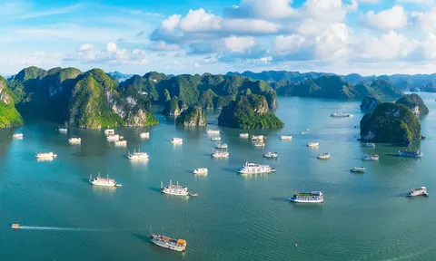 Hơn 200 tỷ phú sắp đi du thuyền cá nhân đến vịnh Hạ Long, Quảng Ninh lên kế hoạch đón khách
