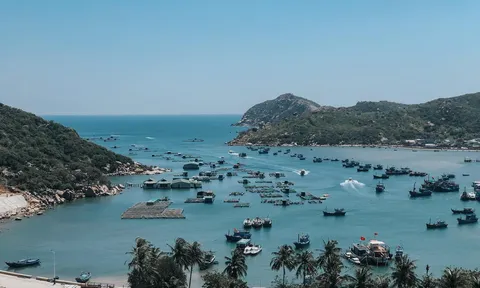 8 điểm đến không thể bỏ qua ở Ninh Thuận: Từ biển xanh cát trắng đến cánh đồng điện gió đẹp nhất nhì Việt Nam