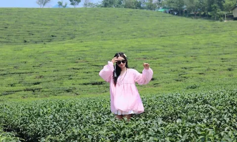 Đi đâu, chơi gì ở Mộc Châu hè này?