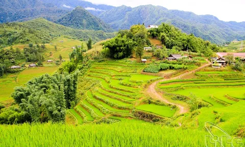 Nắng nóng gay gắt kéo dài, du khách châu Á tìm nơi giải nhiệt