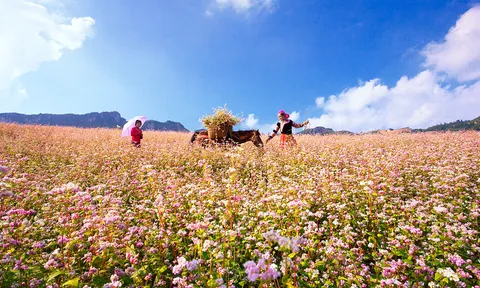 Tập trung phát triển sản phẩm du lịch nông thôn mang đặc trưng vùng, miền