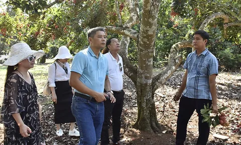 Vùng Đông Nam Bộ tăng kết nối du lịch