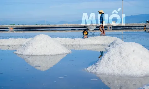 Nghề làm muối Ninh Diêm: Tinh hoa trên cánh đồng trắng