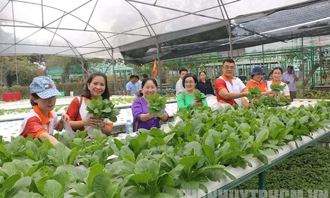 Đẩy mạnh liên kết vùng phát triển du lịch: TP.HCM khảo sát, xây dựng tour liên quận, huyện “Gò Môn”