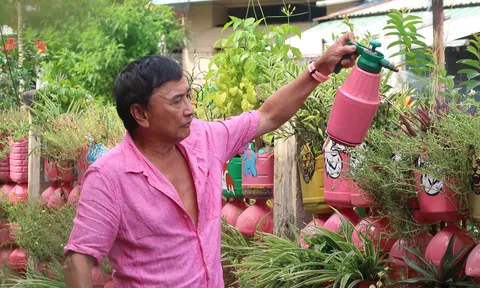 Người đàn ông thích màu hồng lan tỏa không gian xanh giữa lòng thành phố
