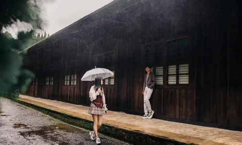 Du lịch Đà Lạt mùa mưa: Bí quyết tận hưởng vẻ đẹp lãng mạn của thành phố sương mù