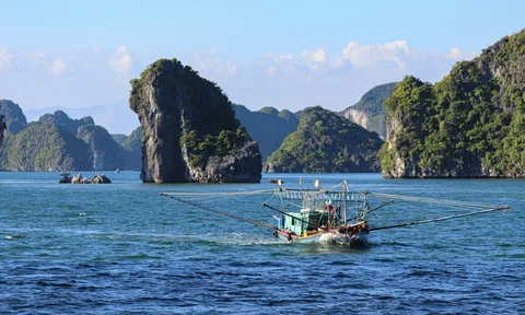 Phí tham quan Vườn quốc gia Cát Bà sẽ tăng gấp đôi từ ngày 1/8