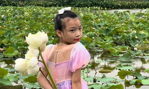 Hết mùa sen, chủ đầm vẫn kiếm tiền triệu mỗi ngày từ khách chụp