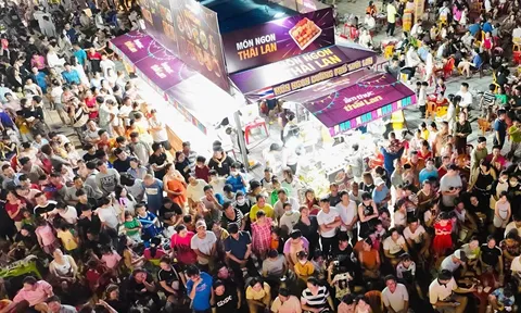 Lễ hội tôm hùm Cam Ranh 2024: Đón 6.000 lượt khách đến săn tôm hùm mỗi ngày