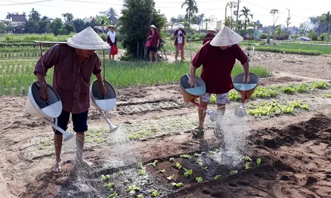 Đề xuất vinh danh Làng rau Trà Quế là làng du lịch tốt nhất thế giới 2024