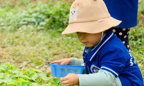 Du lịch giáo dục Việt Nam chưa có sự đồng bộ, thống nhất và còn nhiều thử thách