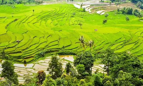 Cơ hội nào cho du lịch nông nghiệp Việt Nam?