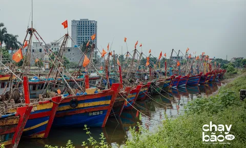 Bão Yagi càn quét miền Bắc: Hàng loạt tour tuyến bị hủy, sân bay Nội Bài đóng cửa