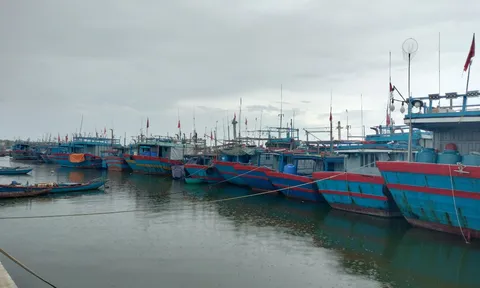Các tỉnh miền Trung triển khai biện pháp ứng phó với áp thấp nhiệt đới sắp mạnh thành bão số 4
