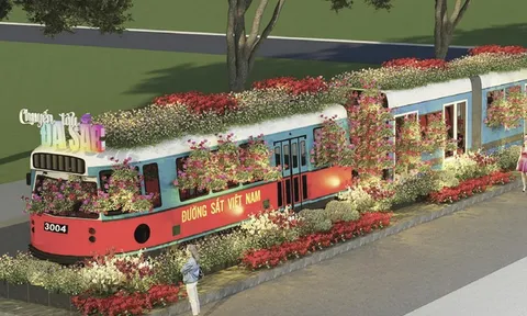 TP Hồ Chí Minh sẽ tổ chức Festival Hoa lan lần 3 tại Công viên Tao Đàn