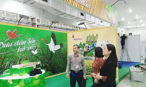 Phó Chủ tịch Hiệp hội Du lịch Việt Nam kiểm tra công tác chuẩn bị cho VITM Hà Nội 2025