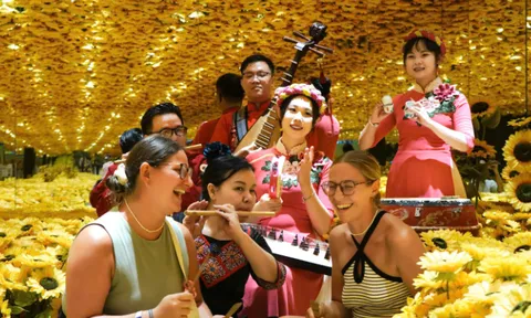 Metashow – Điểm đến nghệ thuật sắp đặt Van Gogh không thể bỏ lỡ tại TP.HCM