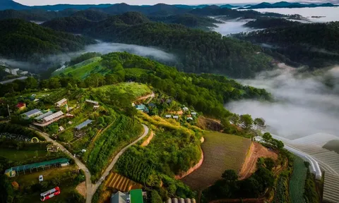 Đà Lạt – Thiên đường săn mây mộng mơ