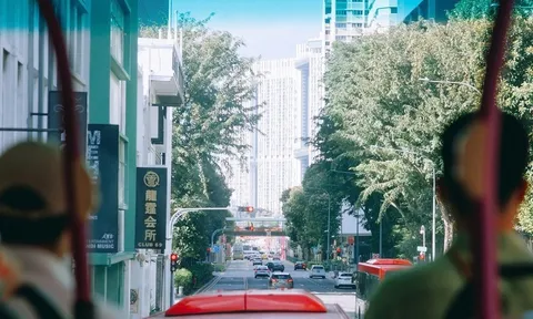 Trải nghiệm vẻ đẹp thơ mộng của Singapore dọc theo các tuyến xe buýt