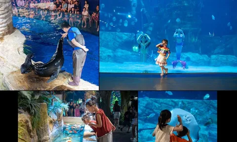 Thủy cung Lotte World Hà Nội: Sau 2 năm, vươn mình thành điểm đến giải trí – giáo dục hàng đầu và định hình chiến lược phát triển bền vững