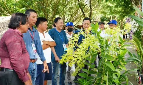 Khi núi rừng khoe sắc - Lễ hội Hoa Phong Lan rực rỡ tại Yang Bay