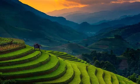 Mù Cang Chải - Khúc giao mùa rực rỡ