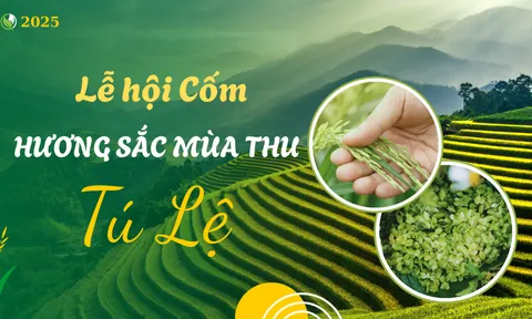 Tuần lễ cốm Tú Lệ 2025: Tôn vinh hạt ngọc của núi rừng Tây Bắc