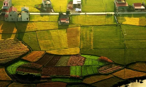 Việt Nam có thêm 2 “Làng Du lịch tốt nhất năm 2025”: Khẳng định hướng đi bền vững Du lịch xanh gắn với sinh kế nông nghiệp