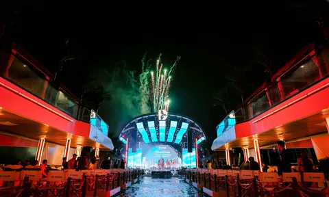 Dolphin Halong: Khi di sản rẽ sóng cùng giấc mơ du thuyền Việt