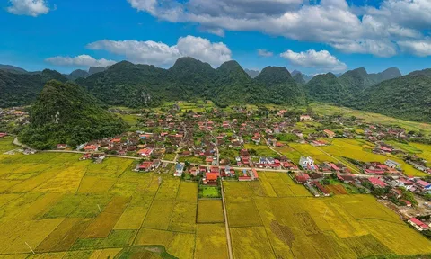 Lễ hội Mùa vàng Bắc Sơn 2025 – Hành trình tìm về thung lũng đẹp nhất mùa lúa chín