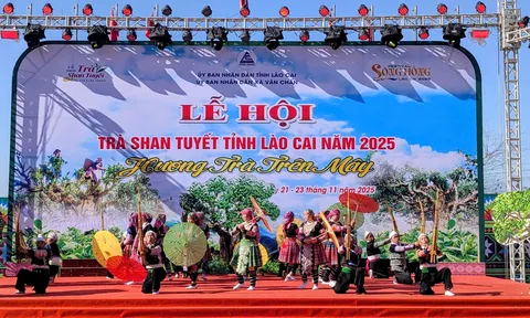 Lễ hội Trà Shan tuyết Lào Cai 2025: Tôn vinh di sản Suối Giàng giữa mây ngàn Tây Bắc