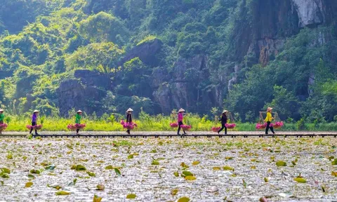 Du lịch Ninh Bình mùa thu: Trải nghiệm Sắc Hồng Tam Cốc lãng mạn