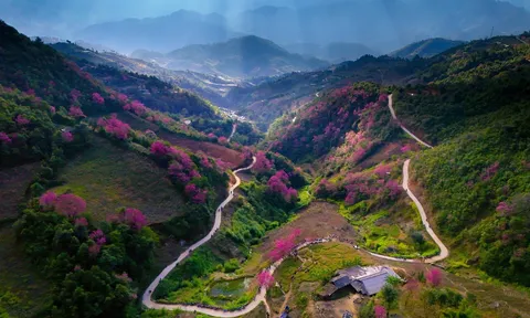 Rộn ràng Festival Khèn Mông - Trải nghiệm sắc màu văn hóa giữa rừng hoa Tớ Dày