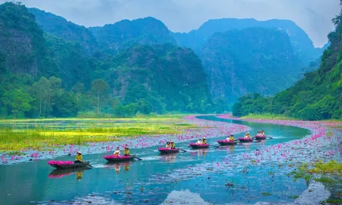 TỪ TĂNG TRƯỞNG ĐẾN NĂNG LỰC QUỐC GIA: HÀNH TRÌNH CHIẾN LƯỢC CỦA HIỆP HỘI DU LỊCH VIỆT NAM TRONG GIAI ĐOẠN MỚI *