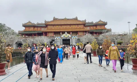 Huế khởi sắc dịp Tết Bính Ngọ 2026: Công suất phòng bình quân đạt 78%, nhiều ngày chạm ngưỡng 99%