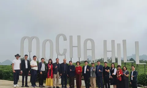 Hiệp hội Du lịch Việt Nam khảo sát Mộc Châu, thúc đẩy phát triển du lịch xanh Sơn La