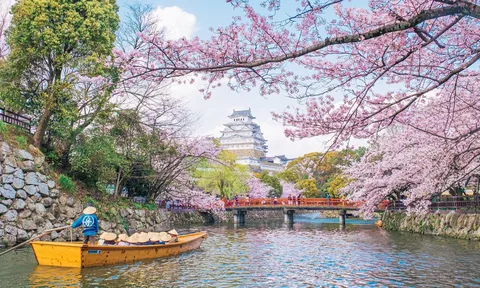 Khách Việt Nam đến Nhật Bản tăng mạnh: Tín hiệu bứt phá của thị trường du lịch outbound