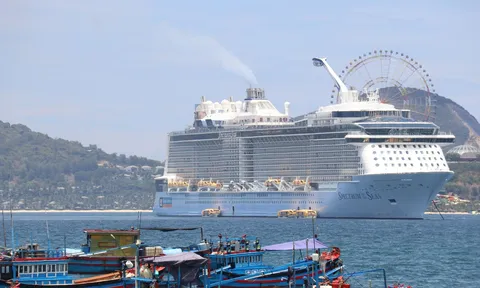 UNDP: Việt Nam cần tăng cường khả năng chống chịu trước  tác động của xung đột tại Trung Đông