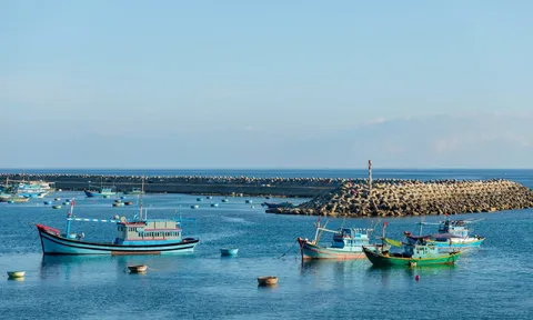 Ngắm Đảo Phú Quý đang vào mùa đẹp nhất qua những khung hình đầy nắng gió của du khách